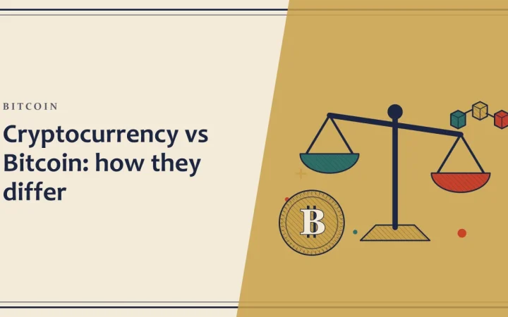 Криптовалюта и Bitcoin: в чём разница: иллюстрация весов для сравнения вариантов и монеты