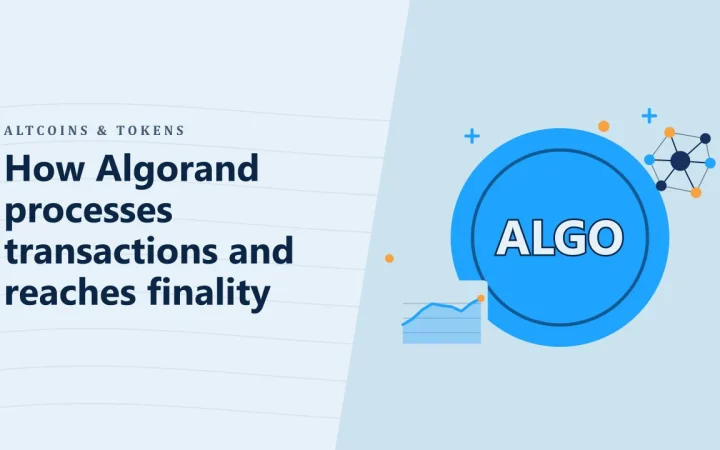 Как Algorand обрабатывает транзакции и достигает финальности: иллюстрация монеты и графика цены