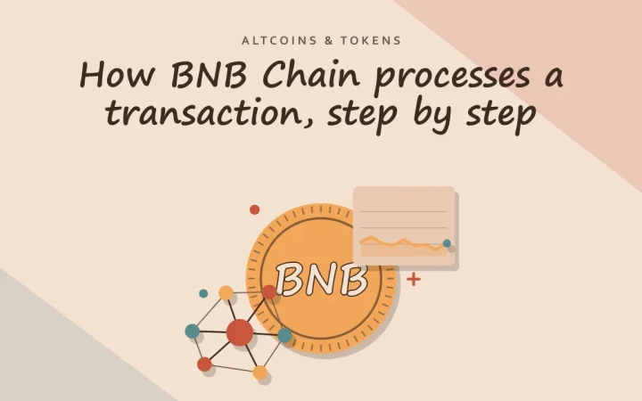 Как BNB Chain обрабатывает транзакцию, шаг за шагом: иллюстрация монеты и сети узлов