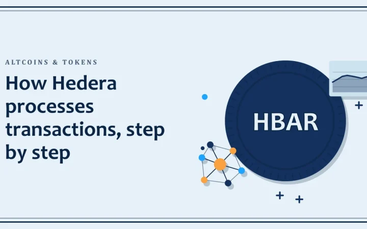 Как Hedera обрабатывает транзакции, шаг за шагом: иллюстрация монеты и сети узлов