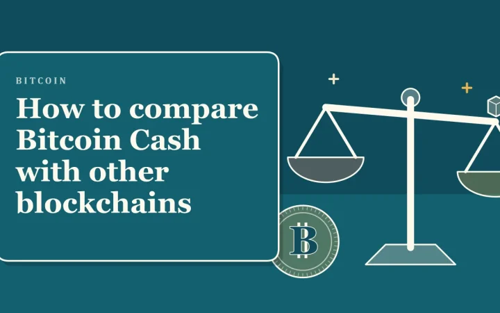 Как сравнить Bitcoin Cash с другими блокчейнами: иллюстрация весов для сравнения вариантов и монета