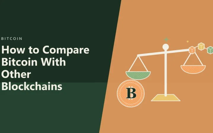 Как сравнить Bitcoin с другими блокчейнами: иллюстрация весов для сравнения вариантов и монеты