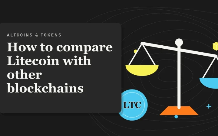 Как сравнить Litecoin с другими блокчейнами: иллюстрация весов для сравнения вариантов и монеты