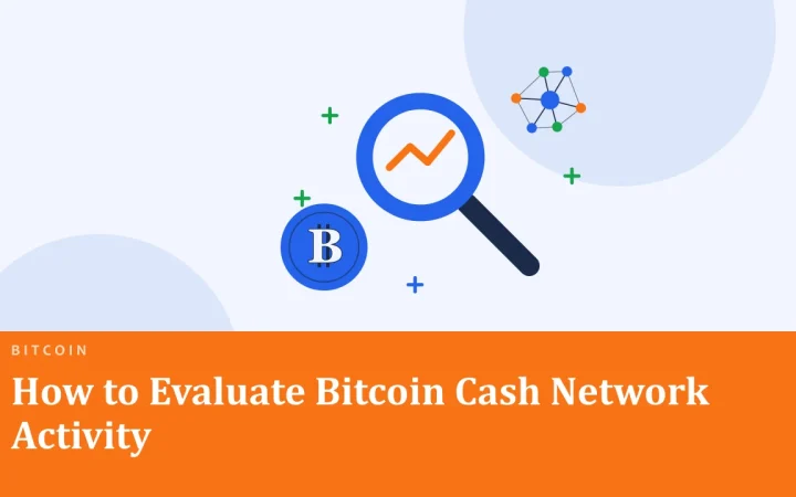 Как оценить активность сети Bitcoin Cash: иллюстрация лупы над графиком и монеты