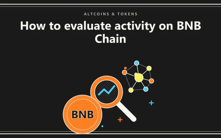 Как оценить активность в BNB Chain: иллюстрация лупы над графиком и монеты