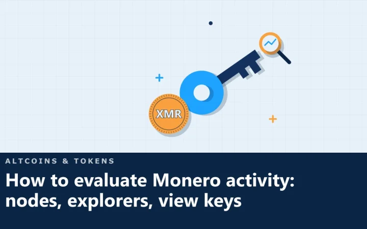 Как оценить активность Monero: узлы, обозреватели, ключи просмотра: иллюстрация приватного ключа и монеты