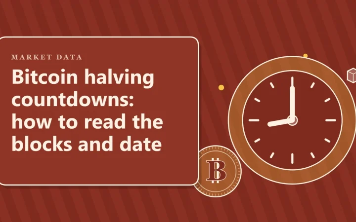 Обратный отсчёт до халвинга Bitcoin: как читать блоки и дату: иллюстрация с часами и монетой