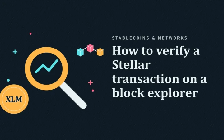 Как проверить транзакцию Stellar в обозревателе блоков: иллюстрация лупы над графиком и монеты
