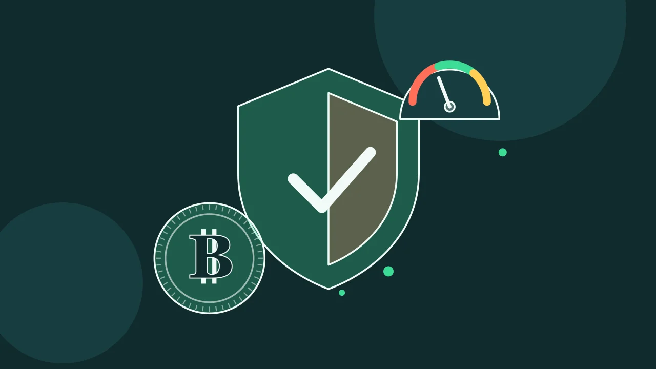 Иллюстрация: щит безопасности с монетой для руководства по Bitcoin