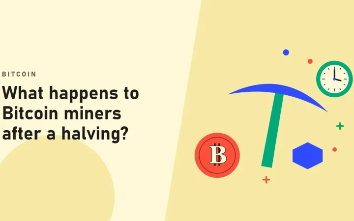 Что происходит с майнерами Bitcoin после халвинга?: иллюстрация кирки майнера и монеты