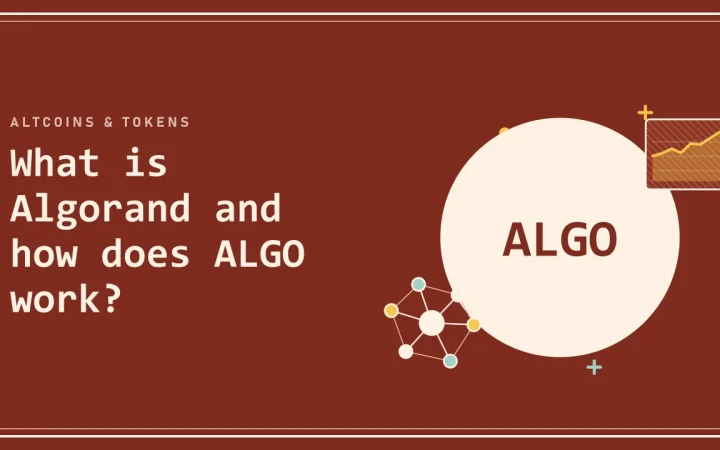 Что такое Algorand и как работает ALGO?: иллюстрация монеты и сети узлов