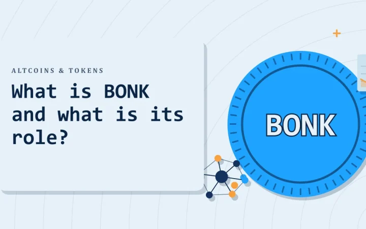 Что такое BONK и какова его роль?: иллюстрация монеты и сети узлов