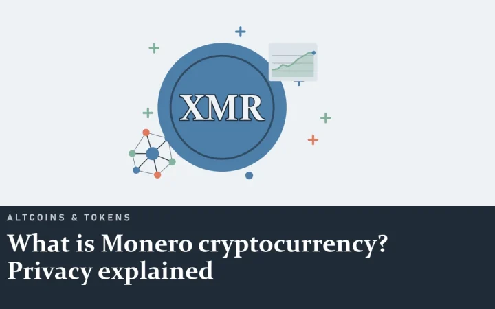 Что такое криптовалюта Monero? Объясняем приватность: иллюстрация монеты и сети узлов