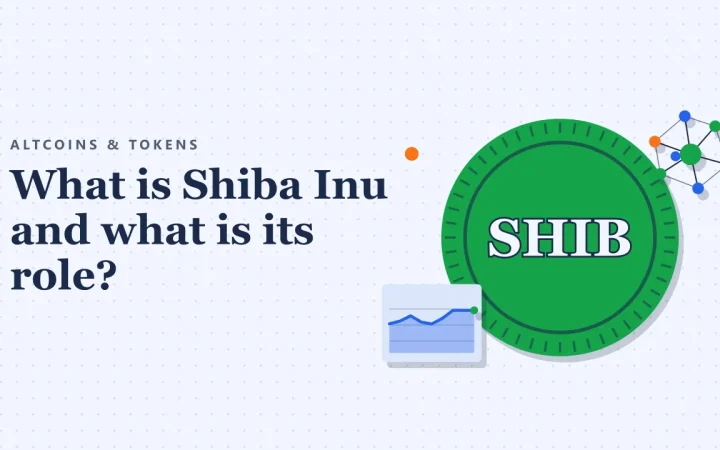 Что такое Shiba Inu и какова его роль?: иллюстрация монеты и ценового графика