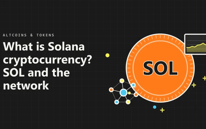 Что такое криптовалюта Solana? SOL и сеть: иллюстрация монеты и сети узлов