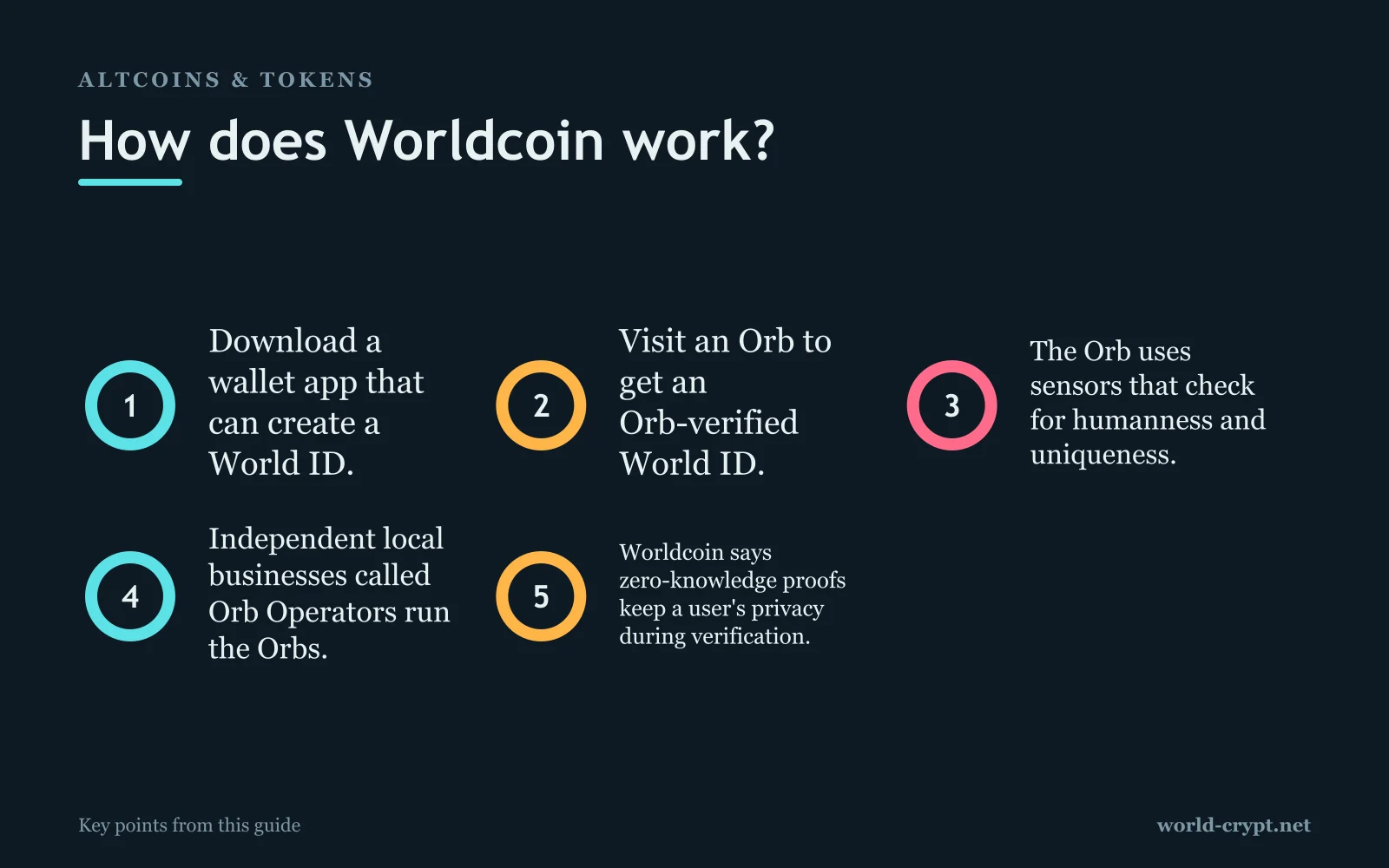 Как работает Worldcoin? — 5 пунктов: скачайте приложение-кошелёк, в котором можно создать World ID; посетите Orb, чтобы получить подтверждённый Orb World ID; Orb использует датчики, проверяющие человечность и уникальность; независимые местные компании под названием Orb Operators управляют Orbs; Worldcoin утверждает, что доказательства с нулевым разглашением сохраняют