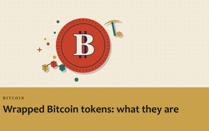 Токены Wrapped Bitcoin: что это такое: иллюстрация монеты и связанных блоков блокчейна
