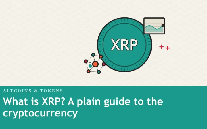 Что такое XRP? Простое руководство по криптовалюте: иллюстрация монеты и сети узлов