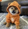 Логотип Dog (Bitcoin) (DOG)