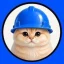 Логотип Basecat (BASECAT)