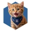 Логотип CROCAT (CROCAT)