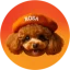 Логотип Rosa Inu (ROSA)