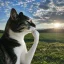 Логотип Thinking Cat (HMM)