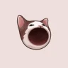 Логотип Popcat (POPCAT)